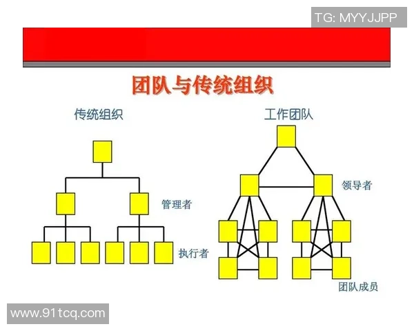 北京羽毛球队团队协作变革探讨与热议引发的深思与启示 北京羽毛球队团队协作变革探讨与热议引发的深思与启示