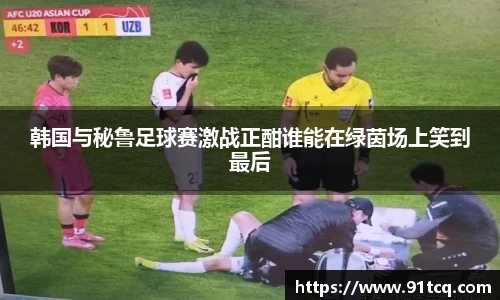 韩国与秘鲁足球赛激战正酣谁能在绿茵场上笑到最后